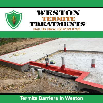 Red termite barriers positioned around concrete slab foundation during construction in Weston