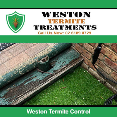 Termite control assessment of damaged wooden deck structure in Weston